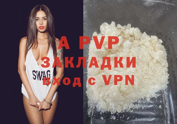 spice Дмитриев