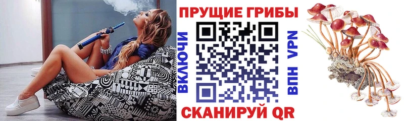 Псилоцибиновые грибы Magic Shrooms  купить наркотик  Невьянск 
